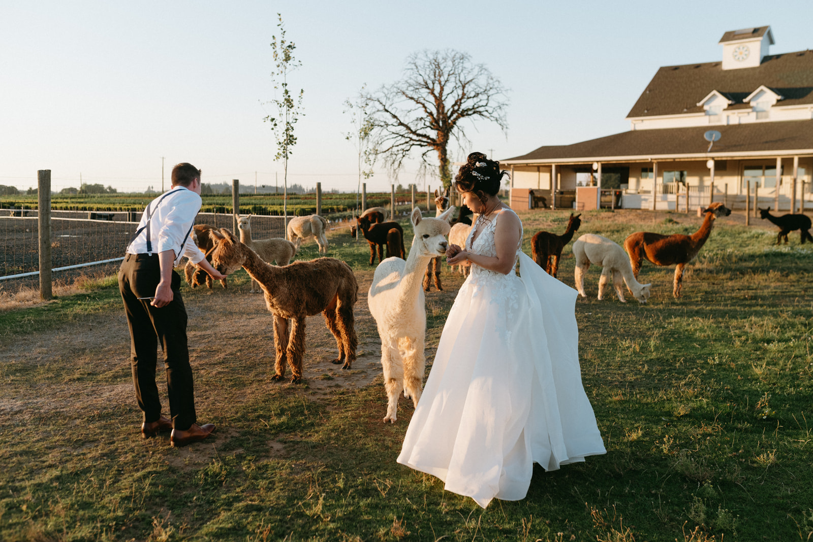 Lucy & Aaron